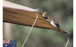 Gordigear Dachzelt 165 Plus Für 3 Personen Mit Vorzelt 165 X 320 Cm Grün 15 Gordigear Dachzelt 165 Plus Für 3 Personen Mit Vorzelt 165 X 320 Cm Grün -Online Camping Rabatte 585663 3986115