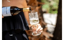 Berger Weinglas 2er Set 8 Berger Weinglas 2er Set -Online Camping Rabatte 594239 4331207