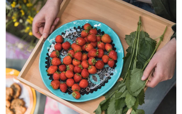 Rebel Outdoor Dessertteller 22 Cm Braun 3 Rebel Outdoor Dessertteller 22 Cm Braun